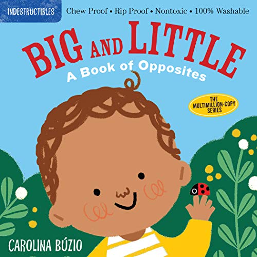 Workman Indestructibles: Big and Little, A Book of Opposites |Mockingbird Baby & Kids