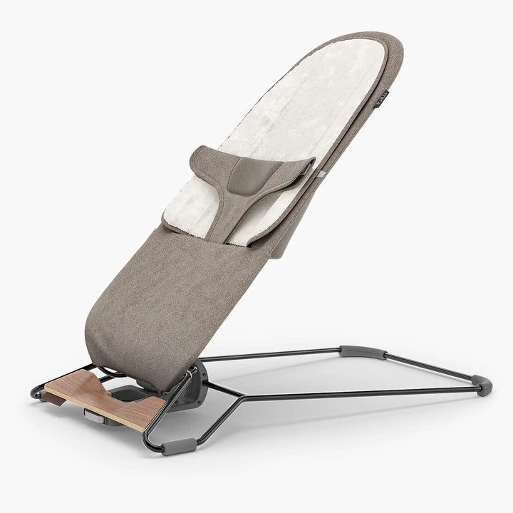 Mira 2-in-1 Bouncer and Seat