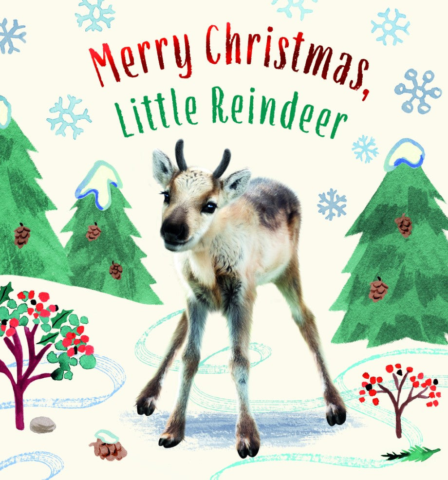 Abrams Merry Christmas, Little Reindeer by Amanda Wood |Mockingbird Baby & Kids