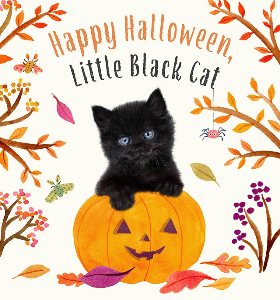 Abrams Happy Halloween, Little Black Cat by Amanda Wood |Mockingbird Baby & Kids