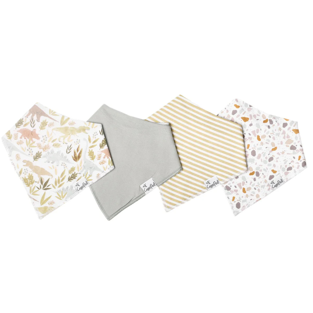 Rex Baby Bandana Bib Set (4-Pack)