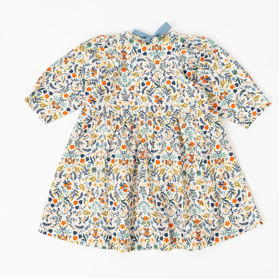 Thimble Collection Birthday Dress in Fall Fields |Mockingbird Baby & Kids