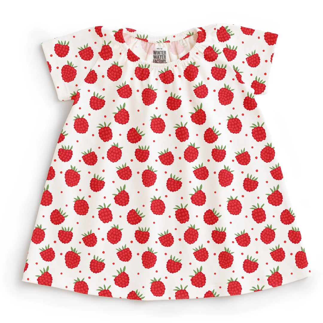 Lily Baby Dress, Natural Raspberries
