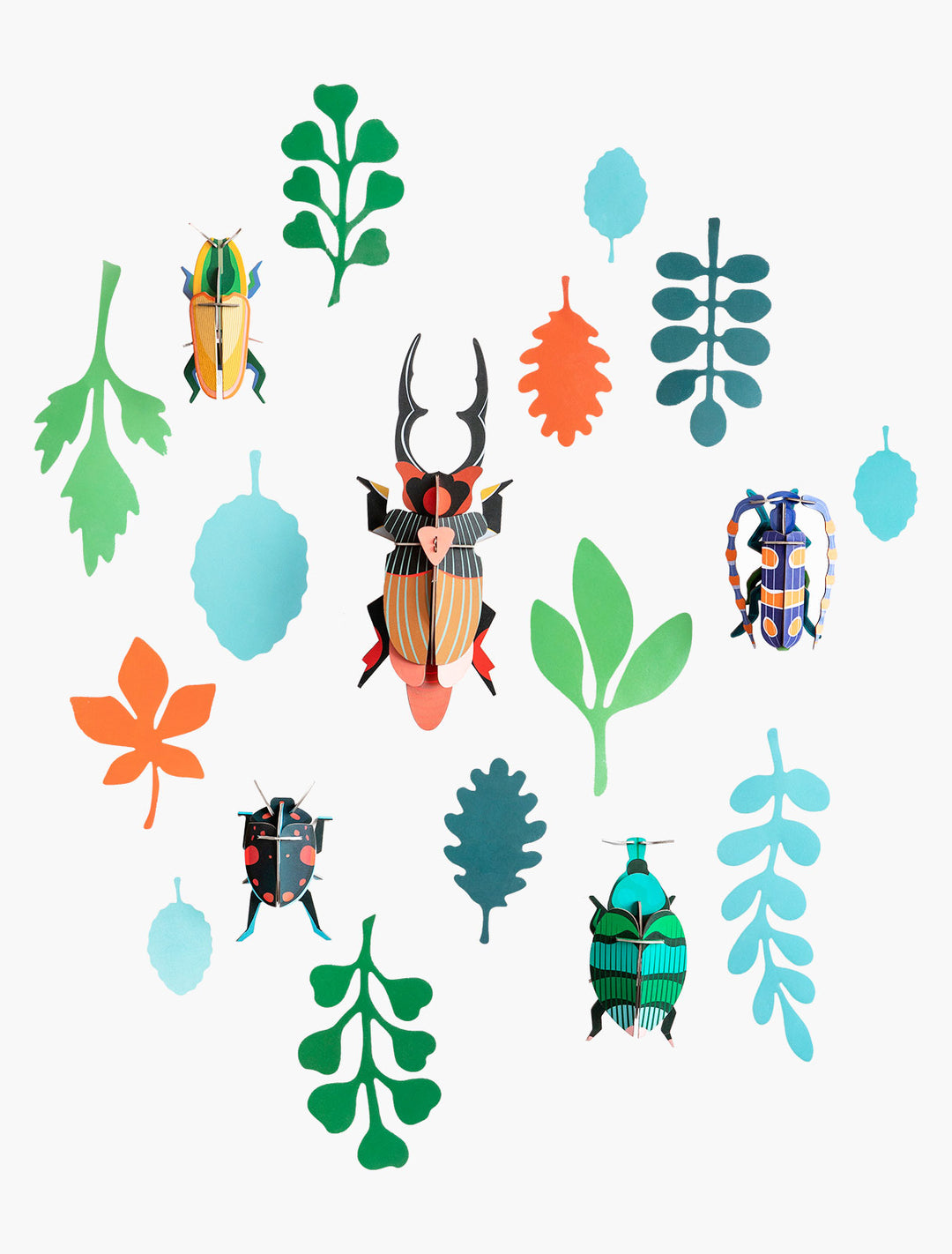 Studio Roof Wall of Curiosities, Beetle Antiquary |Mockingbird Baby & Kids