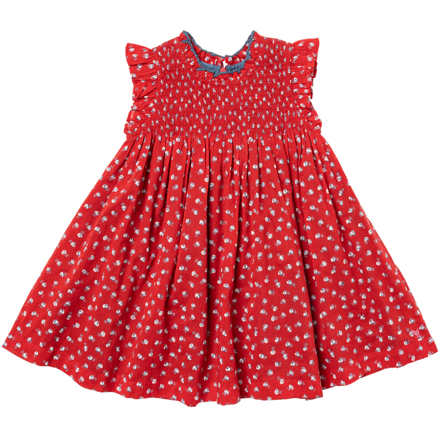 Pink Chicken Stevie Dress, Tiny Red Roses |Mockingbird Baby & Kids