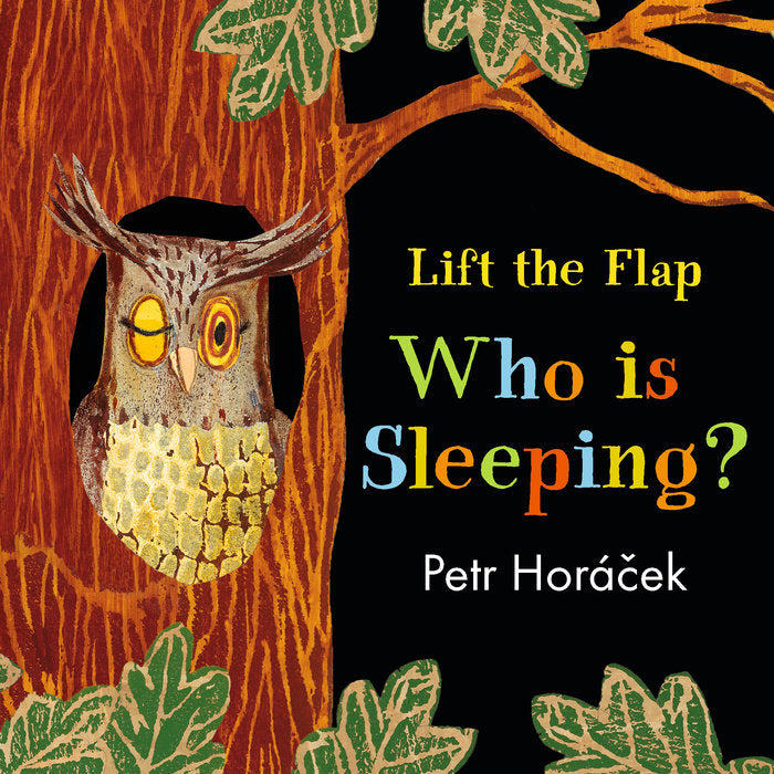 Randomhouse Who Is Sleeping? By Petr Horáček |Mockingbird Baby & Kids